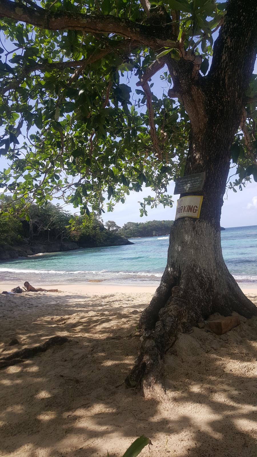 Tropical beach paradise in Jamaica